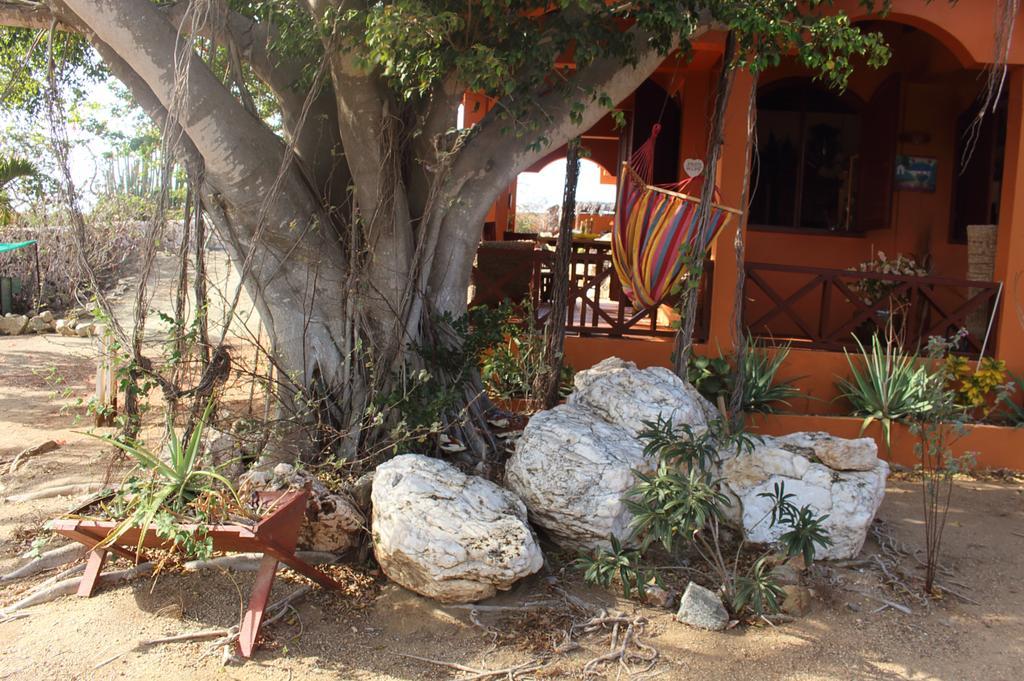 Fuego Mio Bed & Breakfast Santa Cruz Esterno foto