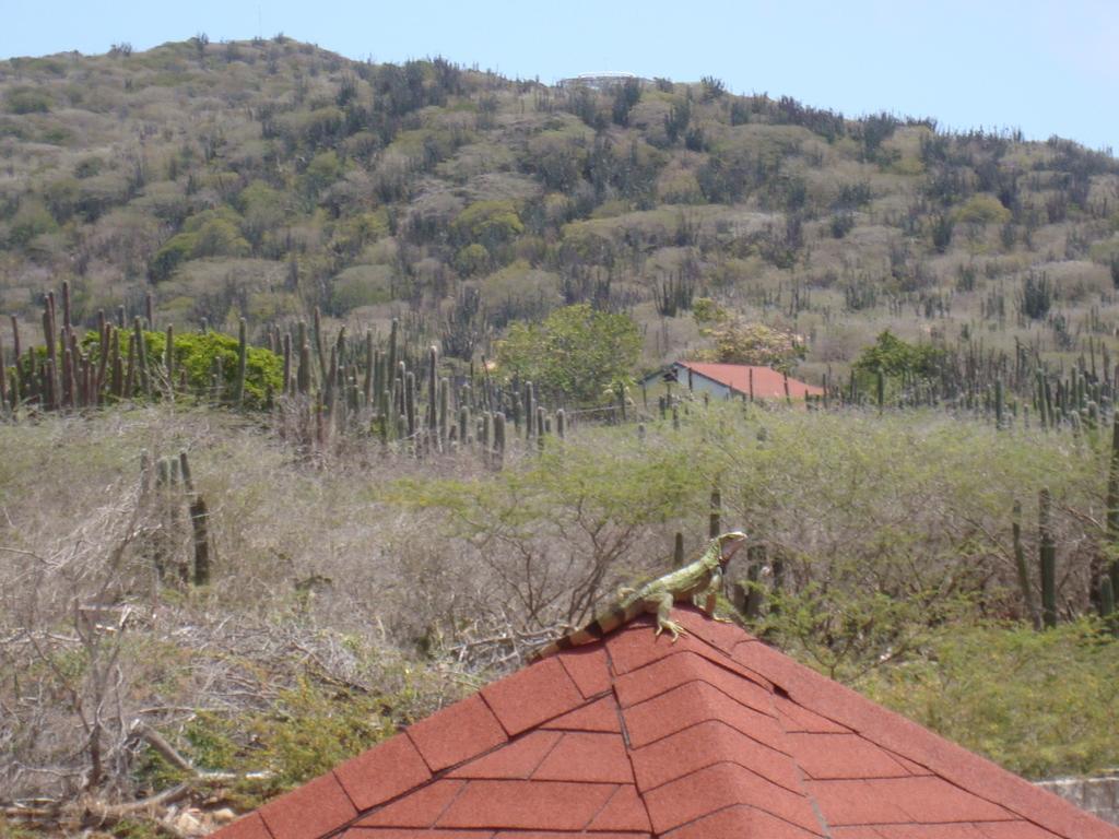 Fuego Mio Bed & Breakfast Santa Cruz Esterno foto
