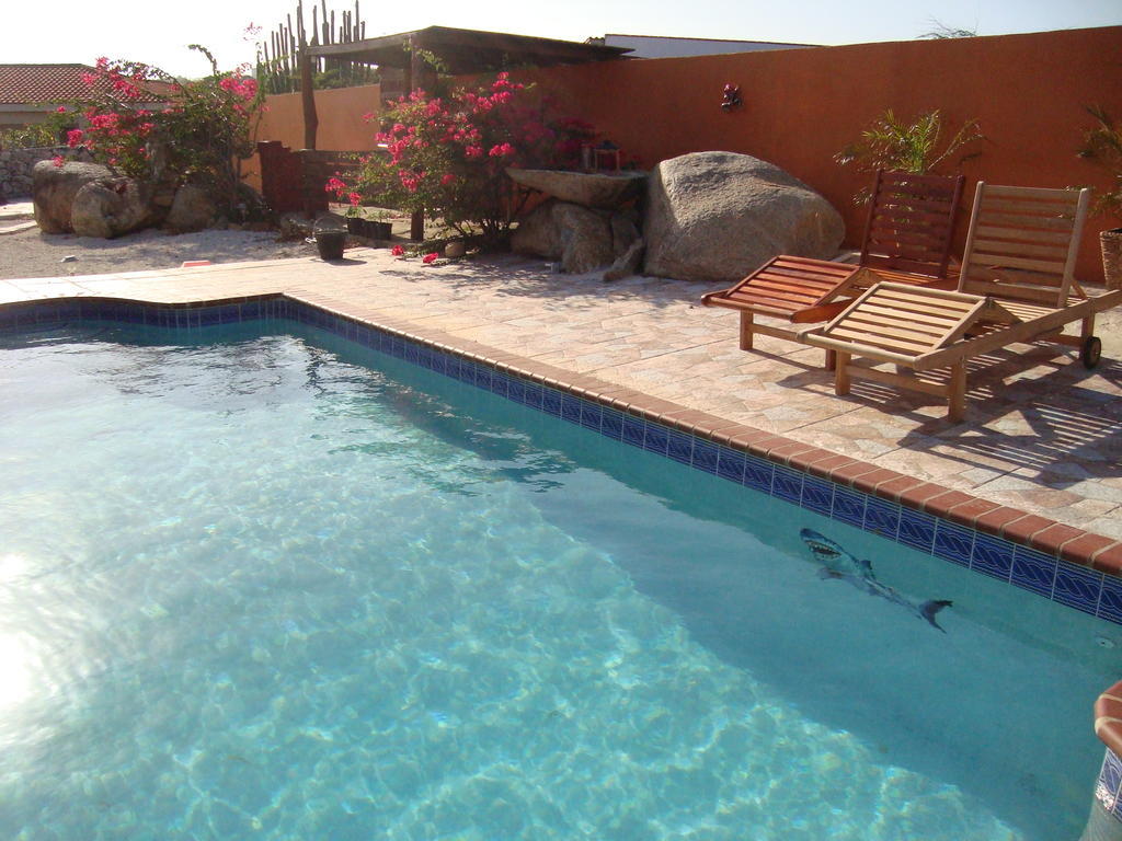 Fuego Mio Bed & Breakfast Santa Cruz Esterno foto