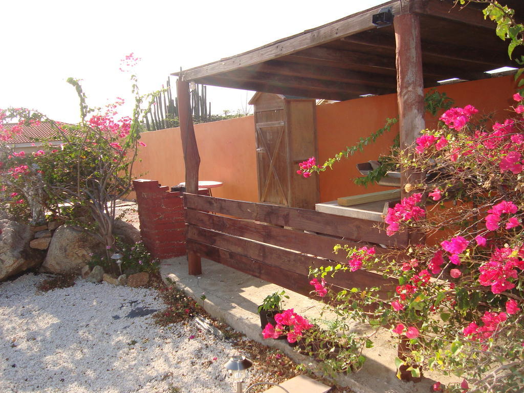 Fuego Mio Bed & Breakfast Santa Cruz Esterno foto