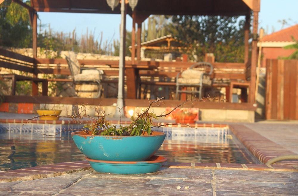 Fuego Mio Bed & Breakfast Santa Cruz Esterno foto