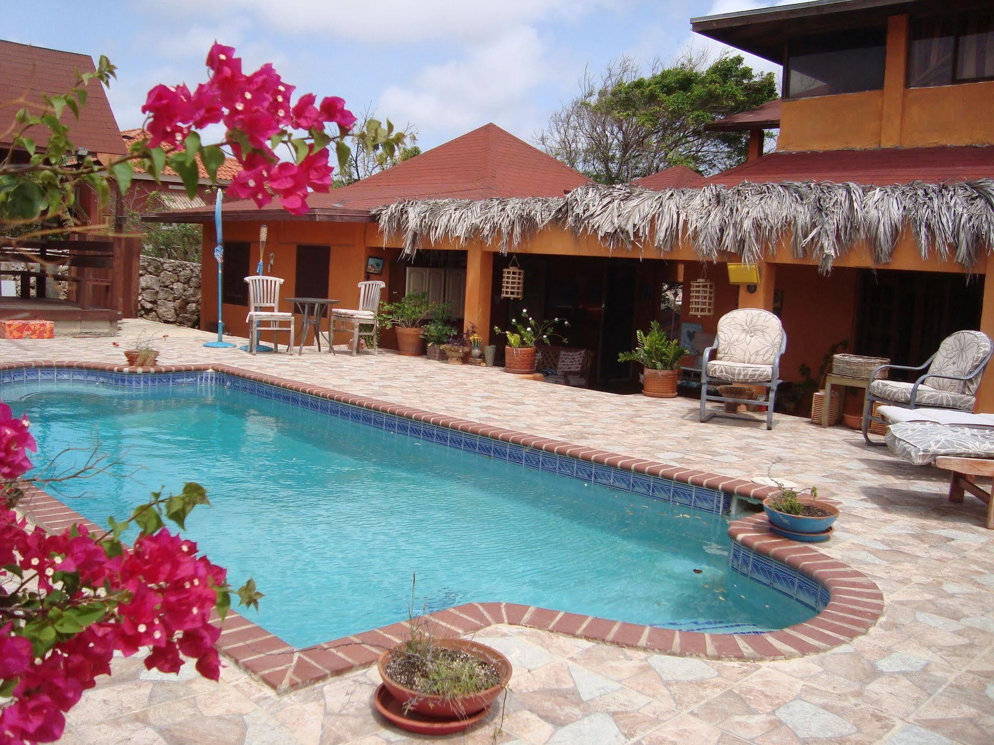 Fuego Mio Bed & Breakfast Santa Cruz Esterno foto